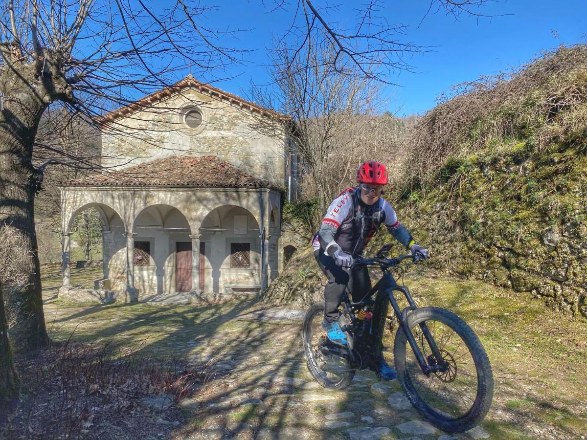 Villa Belvedere Pieve Fosciana Eksteriør billede